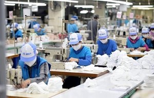 Doanh nghiệp TP.Hồ Chí Minh đổi đầu mối nộp kinh phí công đoàn từ ngày 1/9