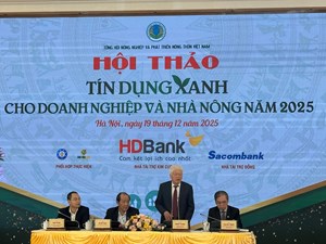 Tín dụng xanh – Đòn bẩy cho nông nghiệp bền vững và doanh nghiệp Việt