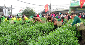 “Hương sắc Trà xuân” Tân Cương 2026: Đánh thức hồn chè giữa mùa xuân mới