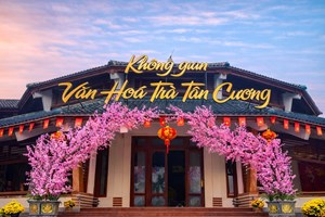  Không gian văn hóa trà Tân Cương: Bảo tàng sống của "đệ nhất danh trà"