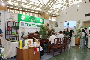Không gian Tea Connect tại Tea Show 2026: Điểm hẹn kết nối chuỗi cung ứng cho trà Việt