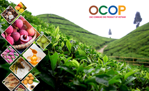 OCOP - Hành trình 6 năm vun đắp "Mỗi xã một sản phẩm"