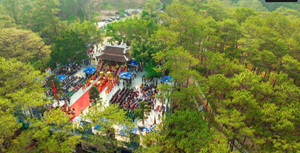 Bữa tiệc đa giác quan tại Lễ hội Trà quốc tế 2025