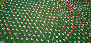 Dấu ấn kỷ lục giữa đại ngàn: 1.111 'trà nương' đồng diễn dâng trà trên cao nguyên Đà Lạt