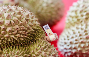 Truy xuất nguồn gốc: Bước đi tất yếu để nông sản Việt vươn xa