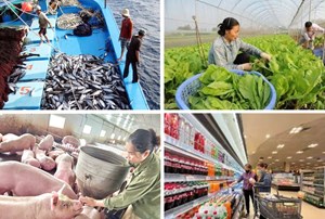 Đẩy mạnh xuất khẩu để khẳng định giá trị cho nông sản, thực phẩm và đồ uống