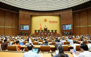Quốc hội thảo luận việc đánh thuế tiêu thụ đặc biệt với rượu bia, nước ngọt