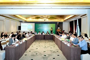 Chuyển đổi năng lượng xanh nhìn từ Nghị quyết 70 của Bộ Chính trị