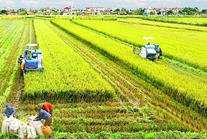 Những con số ấn tượng của ngành nông nghiệp Việt Nam năm 2023