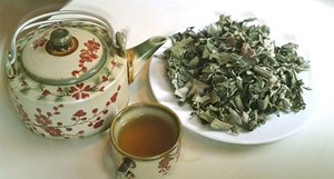 Trà vối - Hương vị Tết quê