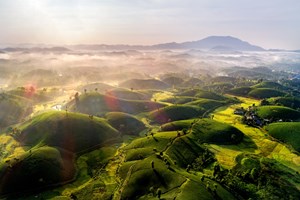 Long Cốc - Đồi chè thơ mộng vùng trung du 