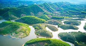Tour du lịch trà: Khám phá vùng trà nổi tiếng tại Việt Nam