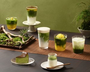 Universal Tea – Khám phá vũ trụ trà chỉ trong một ngụm