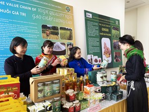Phát triển chuỗi giá trị nông sản tại Cao Bằng