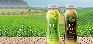 Những thương hiệu trà đóng chai phổ biến trên thị trường hiện nay
