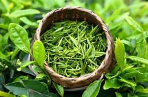 Phân biệt các loại trà - Khám phá thế giới đa dạng của thức uống truyền thống