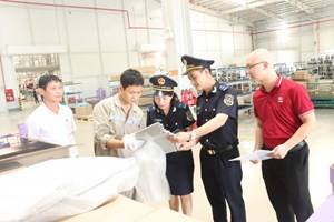 Tổng cục Hải quan triển khai bộ máy mới, giảm hơn 50% đầu mối