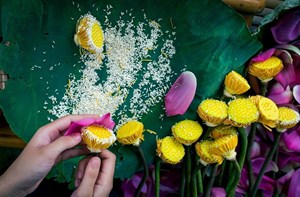 Trà sen: Sự tỉ mỉ trong quy trình ướp hương thủ công