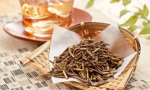 Bancha: Sự mộc mạc và cân bằng từ những lá trà vụ muộn