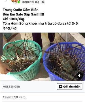 Bản tin Tiêu dùng 30/3: Giá vàng sụt giảm