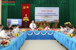 Cồn Cỏ – Đánh thức “viên ngọc xanh” theo hướng kinh tế biển bền vững