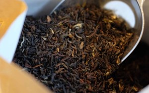 Darjeeling – “Champagne của thế giới trà”