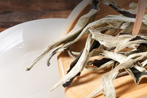 Bạch Hào Ngân Châm: Từ lớp lông tuyết đến tinh hoa dòng trà trắng 