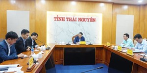 Thái Nguyên: Đầu tư hạ tầng vùng sản xuất chè trên 1.200 tỷ đồng