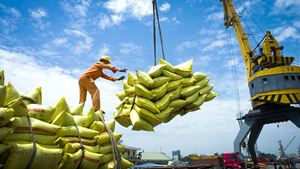 Quý I/2023, Việt Nam xuất khẩu hơn 1,85 triệu tấn gạo