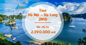 Bản tin Tiêu dùng 29/4: Giá tour tăng lên mặt bằng mới