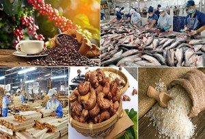 Xuất khẩu nông, lâm, thủy sản vượt 23 tỷ USD 