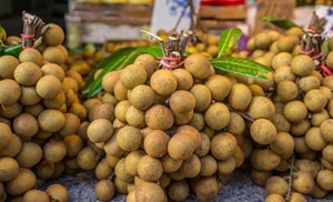Đặc sản vùng miền và hành trình chinh phục thương mại điện tử 