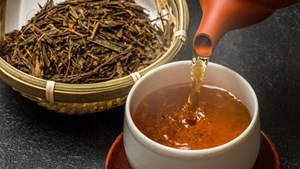 Tìm hiểu về trà Houjicha