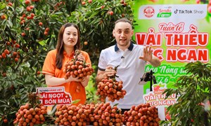 Livestream mở lối tiêu thụ mới cho vải thiều Bắc Ninh