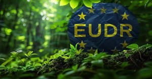 EU lùi áp dụng EUDR đến cuối 2026, nông sản Việt có thêm thời gian thích ứng