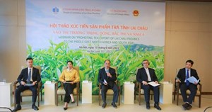 Trà Lai Châu có tiềm năng tại thị trường Trung Đông, Bắc Phi và Nam Á