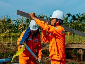 EVNNPC: Tình hình hoạt động sản xuất kinh doanh tháng 5/2024, nhiệm vụ công tác tháng 6/2024