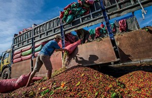 Các mặt hàng nông sản xuất khẩu sang thị trường Nga tăng mạnh