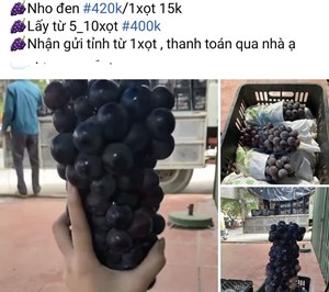 Bản tin Tiêu dùng 25/6: Nho đen không hạt bán đầy chợ mạng với giá chỉ 40 nghìn đồng/kg