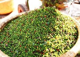 Nguồn cung hạn chế, giá tiêu tăng cao 