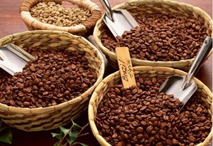 Cà phê robusta gia tăng thị phần, giá lập đỉnh mới trong 28 năm