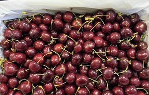 Cherry Mỹ nhập khẩu giá rẻ chưa từng có