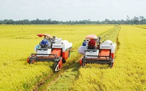 Xuất khẩu gạo thu về 2,9 tỷ USD