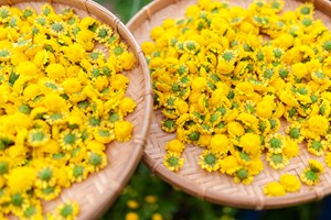 Loại trà ngọt thanh giúp cải thiện thị lực, ổn định đường huyết