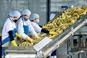 Hướng tới xây dựng các sàn giao dịch nông sản theo hướng B2B hiện đại