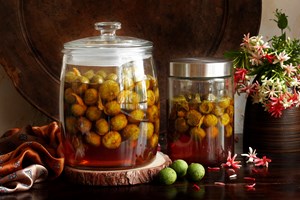 Quả sấu Hà Thành