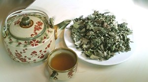 Trà lá sen - Thức uống thanh mát với những công dụng bất ngờ