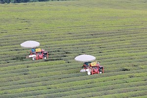 Sơn La: Huyện Vân Hồ phát triển du lịch gắn liền với các sản phẩm nông nghiệp và chè mang lại hiệu quả kinh tế cao