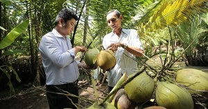 Cơ hội lớn cho trái dừa Việt Nam