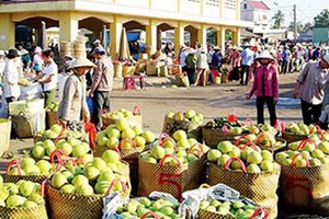 Xuất khẩu nông sang Trung Quốc đối diện nhiều rào cản 